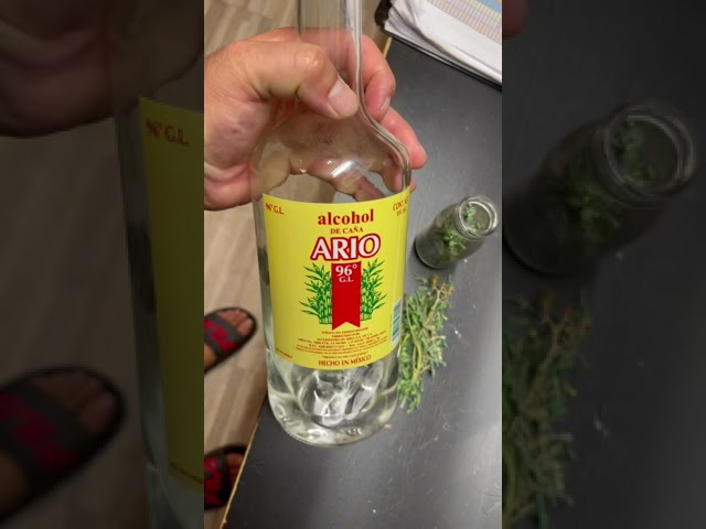 alcohol para el dolor de oido