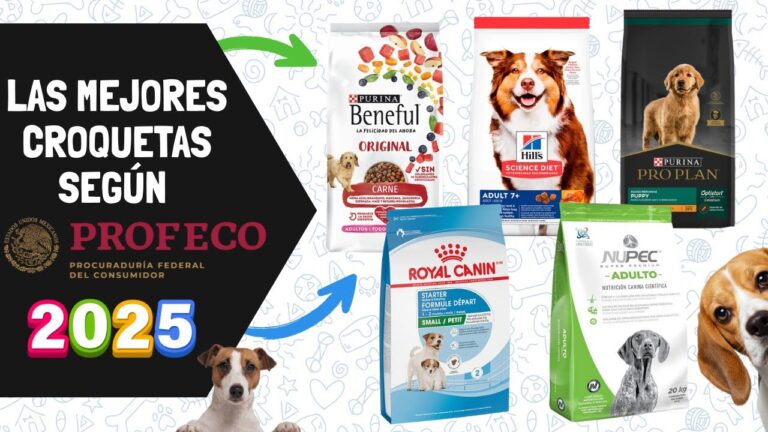 alimentos para perros de buena calidad