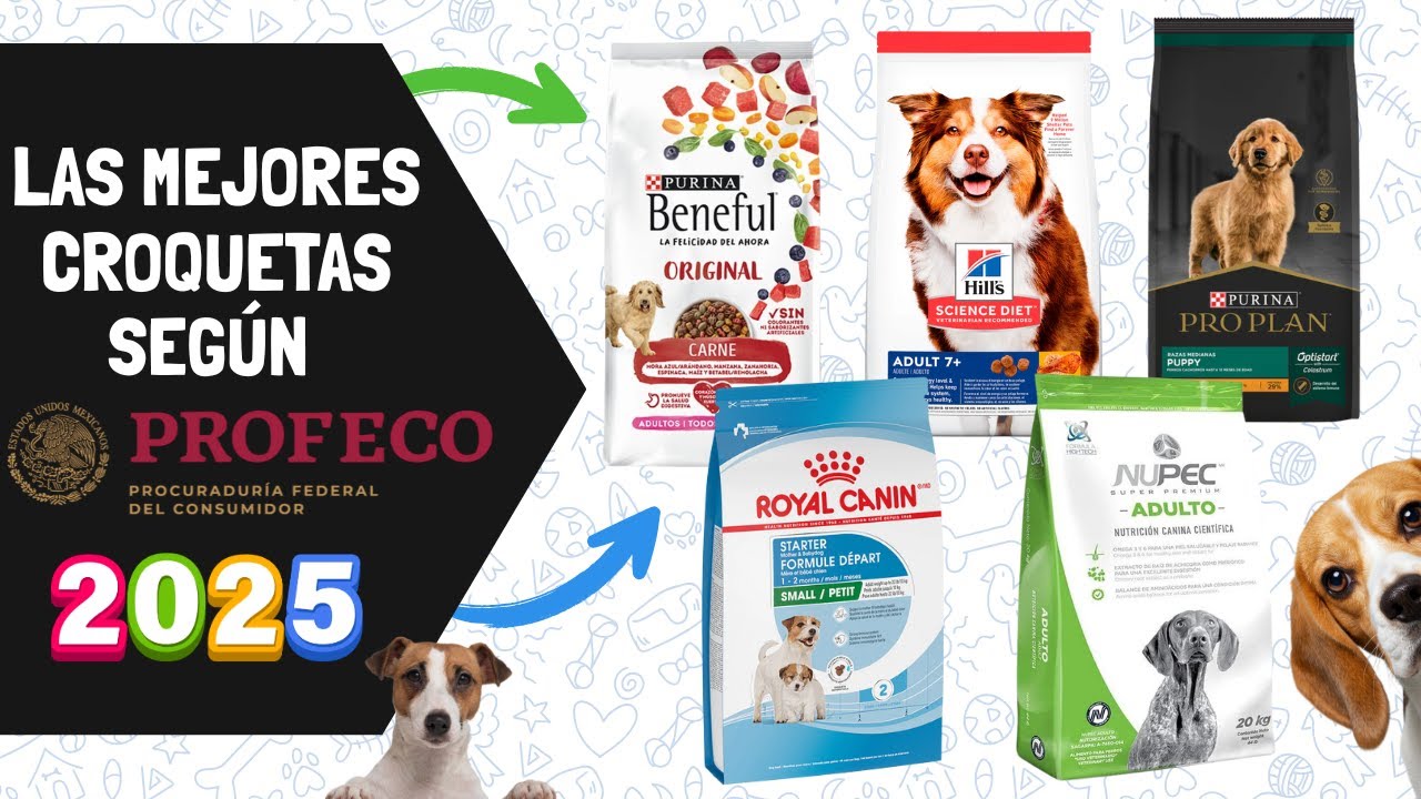 alimentos para perros de buena calidad