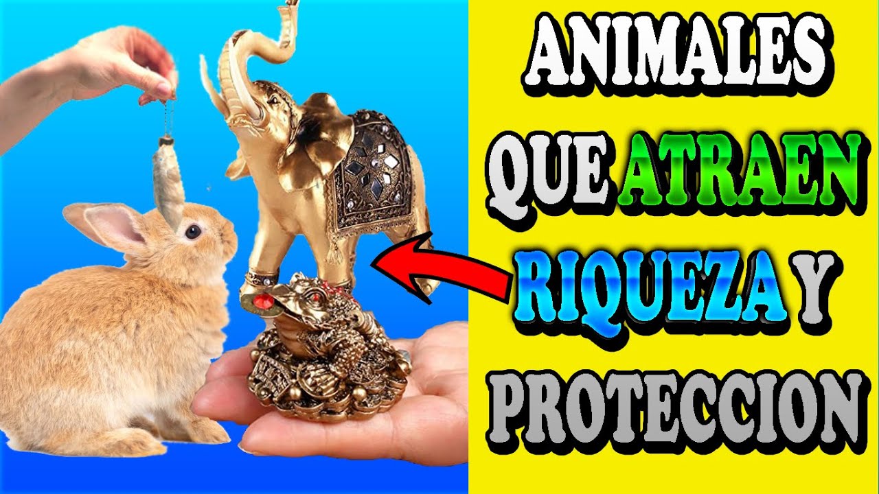 animales que traen buena suerte en el hogar