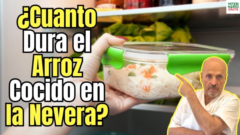 arroz de un dia para otro