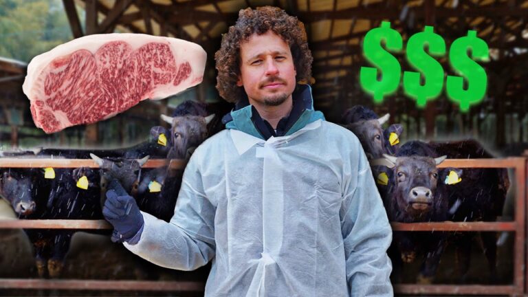 carne kobe de que animal es