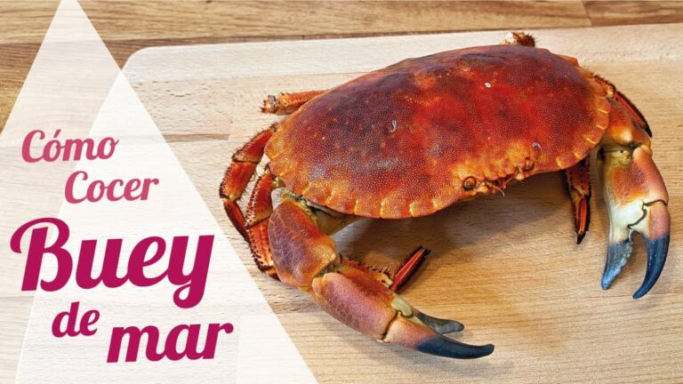 cocción de buey de mar vivo