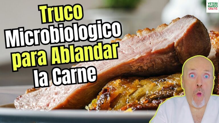 como ablandar una carne dura ya cocinada