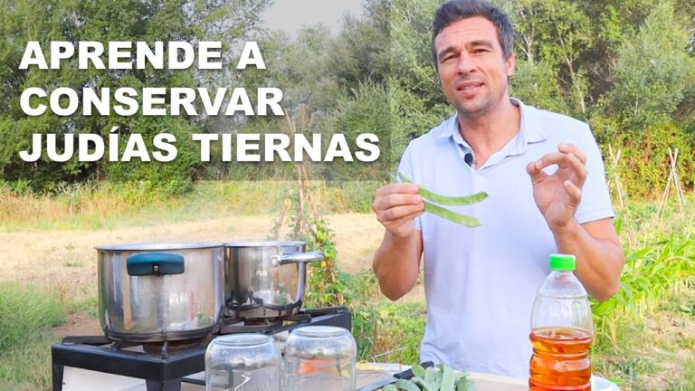 como conservar judías verdes en botes de cristal