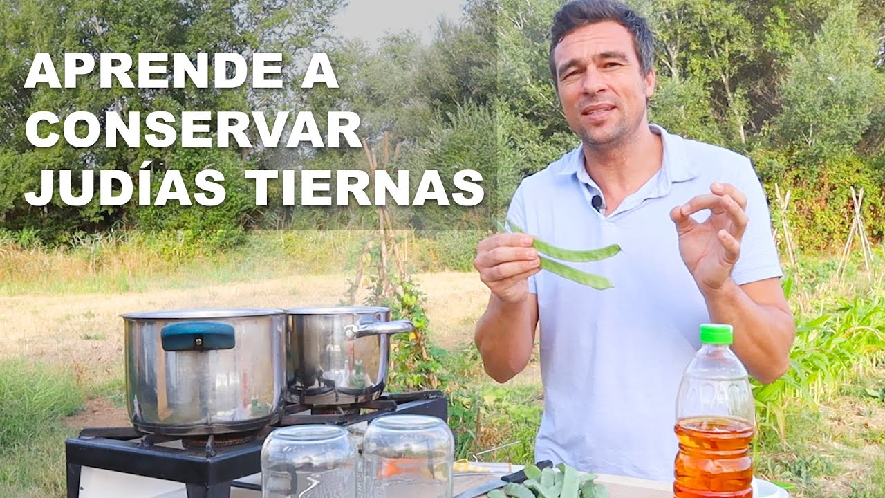 como conservar judías verdes en botes de cristal