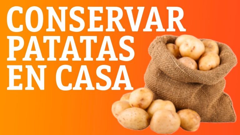 como conservar una tortilla de patatas recién hecha