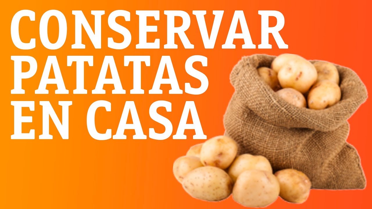 como conservar una tortilla de patatas recién hecha