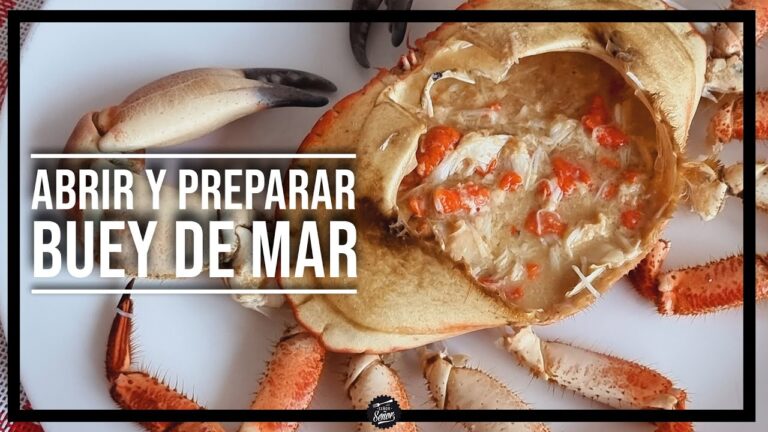 como limpiar un buey de mar cocido
