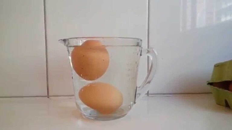 como saber si un huevo esta podrido