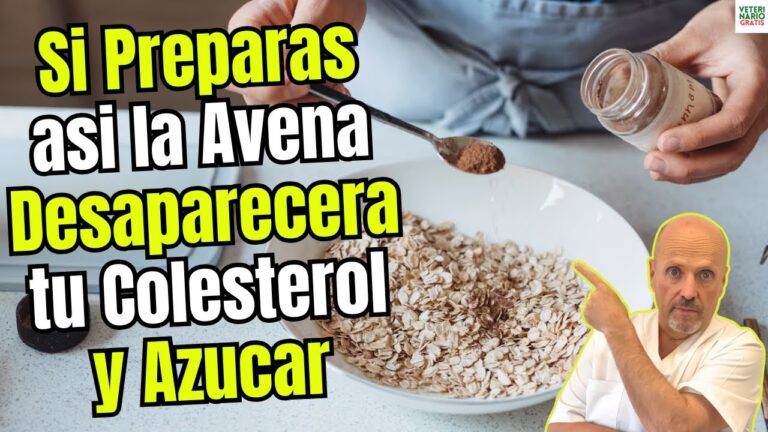 como tomar la avena para bajar el colesterol y trigliceridos
