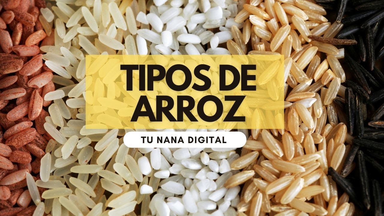 cual es el mejor tipo de arroz