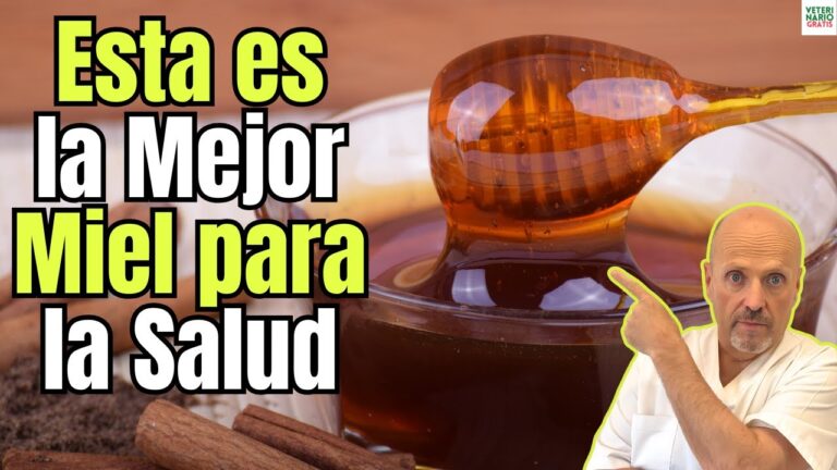 cual es la miel mas saludable