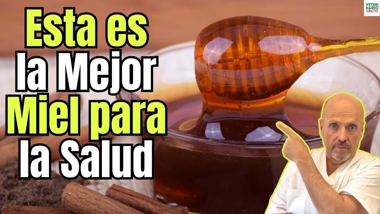 cual es la miel mas saludable