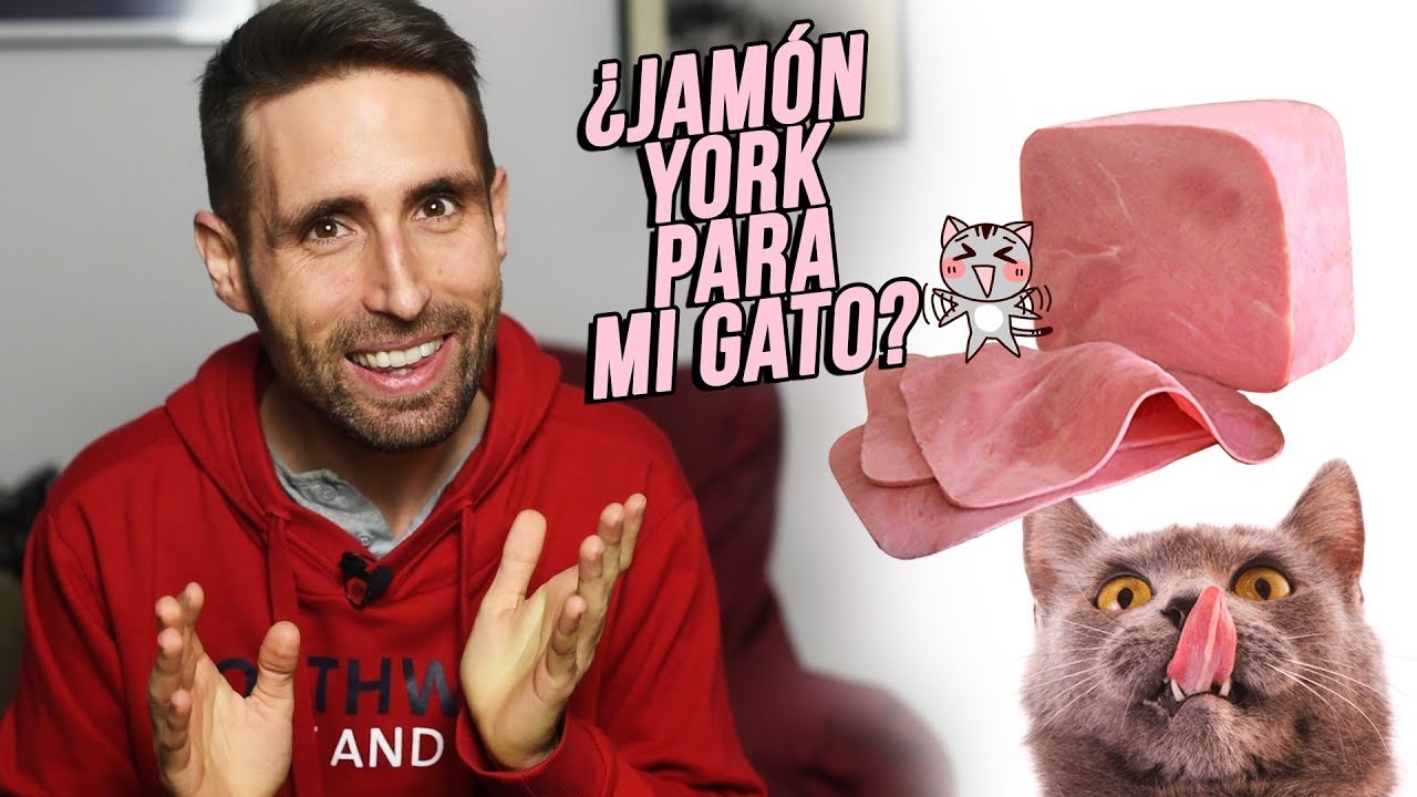 cuando dar jamon york al bebe