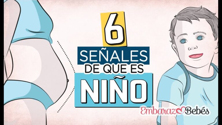 cuando se ve si es niño o niña