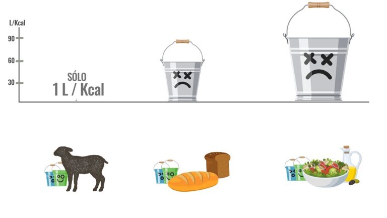 cuanta agua se consume para producir 1 kg de carne