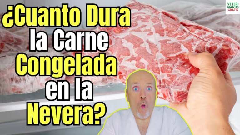 cuanto dura en buen estado la carne congelada