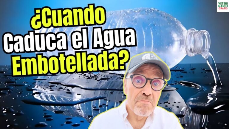 cuanto dura una botella de agua abierta