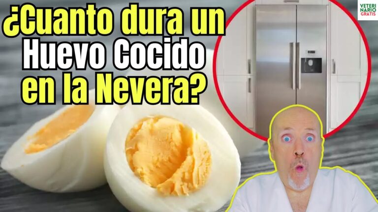 cuanto tiempo dura un huevo cocido