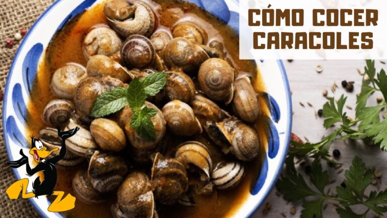 cuanto tiempo hay que cocer los caracoles