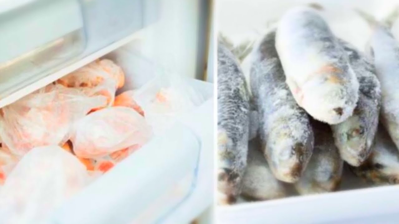 cuanto tiempo tiene que estar congelado el pescado