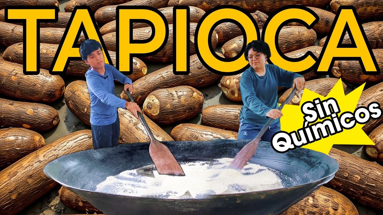 de que está hecha la tapioca