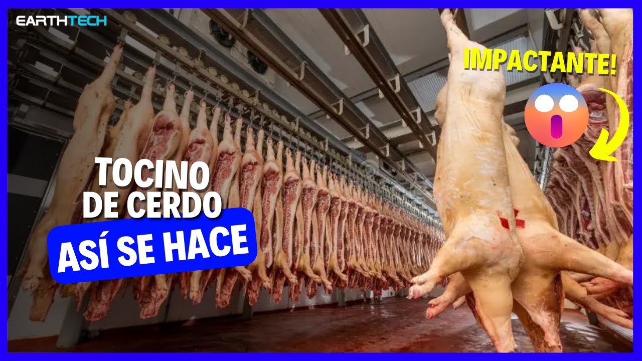 de que esta hecho el tocino