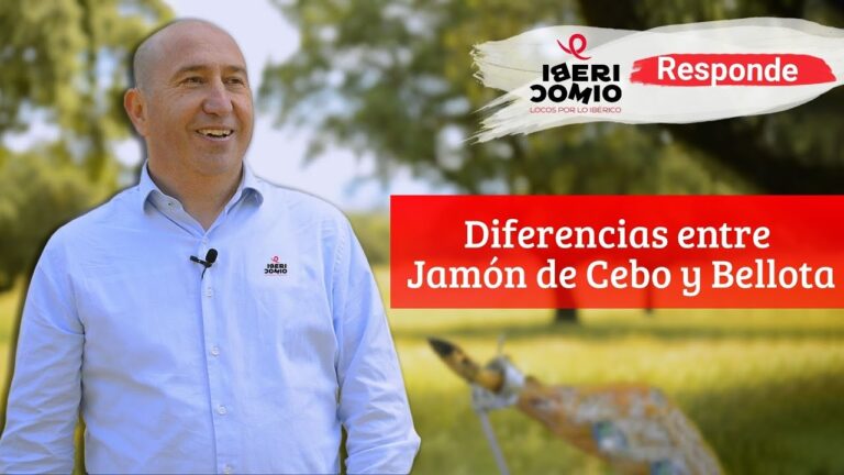diferencia entre jamon de cebo y de bellota