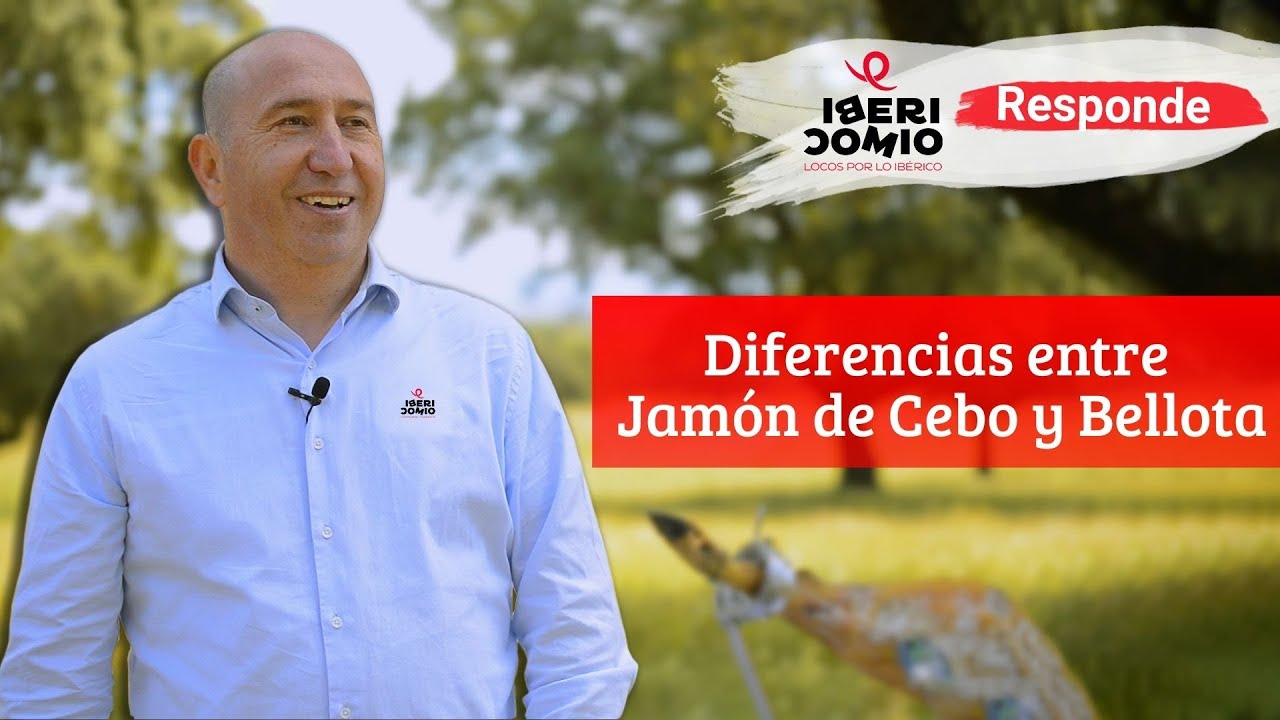 diferencia entre jamon de cebo y de bellota