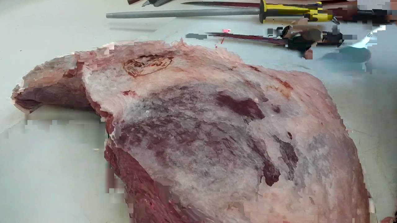 donde esta la picaña en la vaca