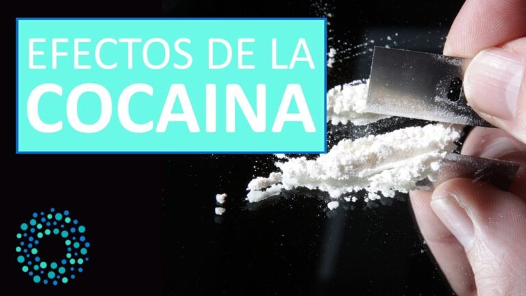 efectos de la cocina a largo plazo