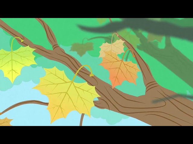 el castaño es de hoja caduca o perenne