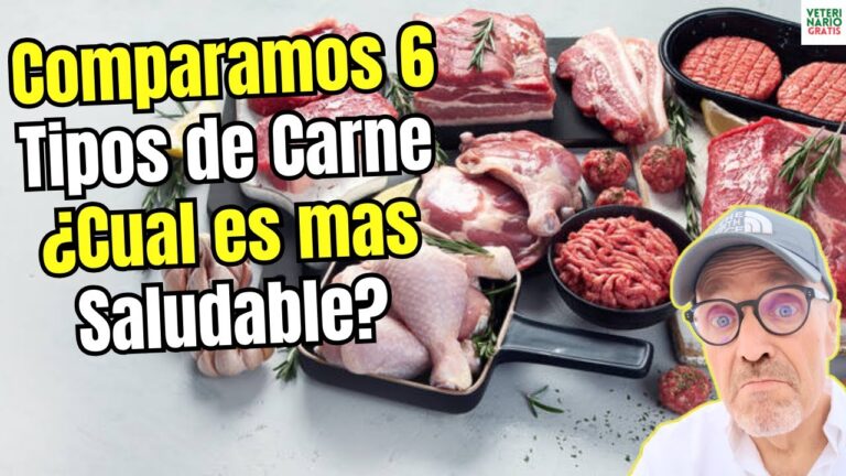 el conejo es carne roja o blanca