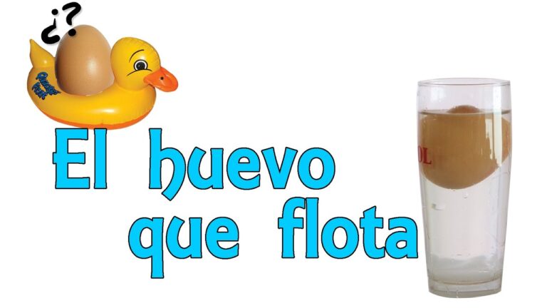 el huevo tiene que flotar o hundirse