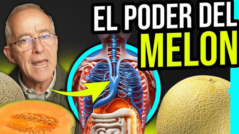 el melon es bueno para la dieta