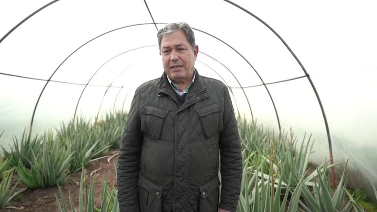 empresas que compran aloe vera en españa