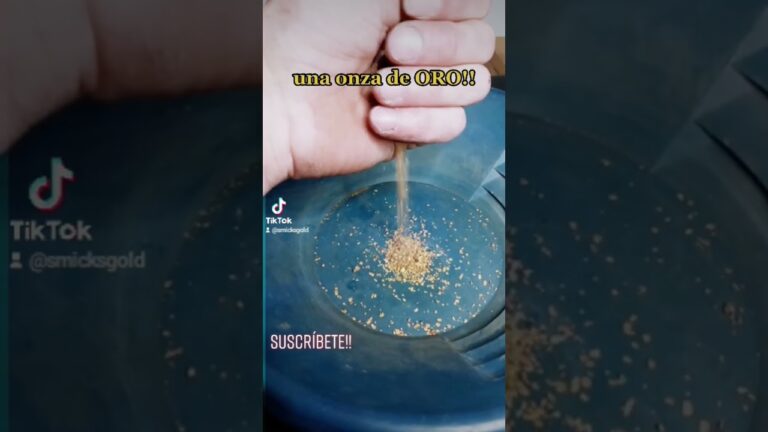equivalencia en gramos de una onza de oro