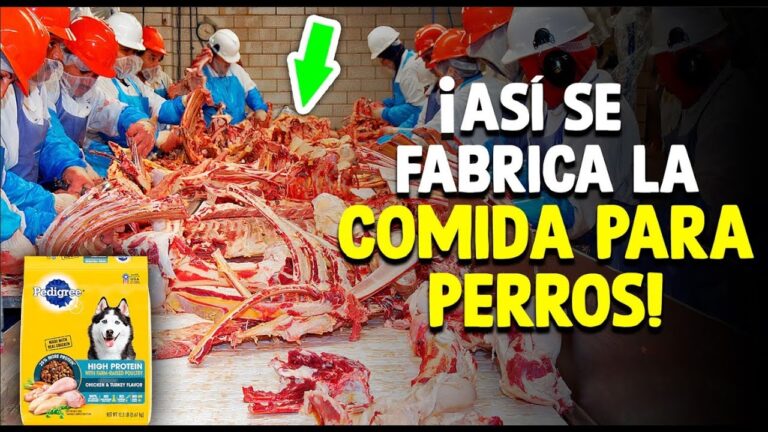 fabricas de pienso para perros marca blanca