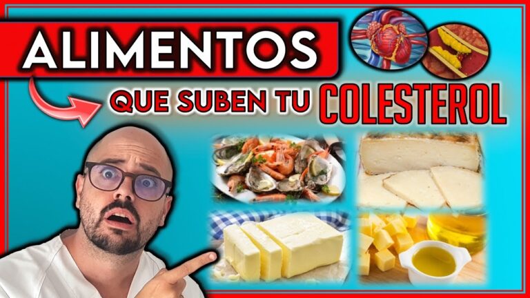 lista de alimentos con mas colesterol