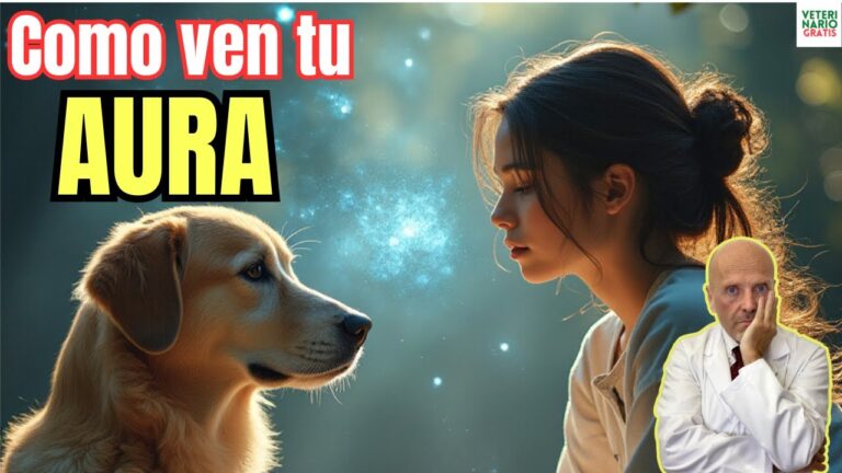 los perros ven el aura de las personas