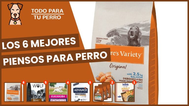 mejores marcas de pienso para perros