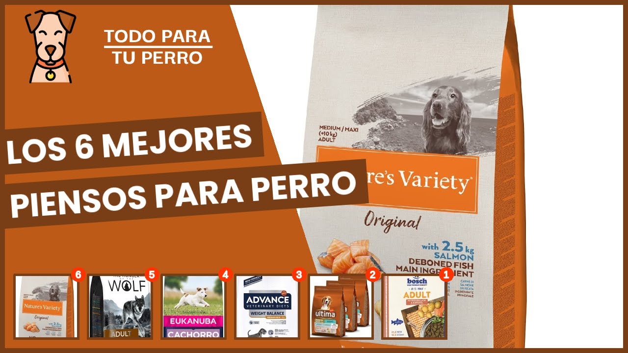 mejores marcas de pienso para perros