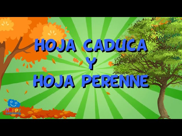 nombres de árboles de hoja perenne