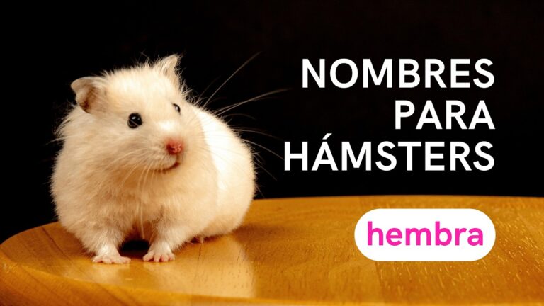 nombres para hamster hembra y macho