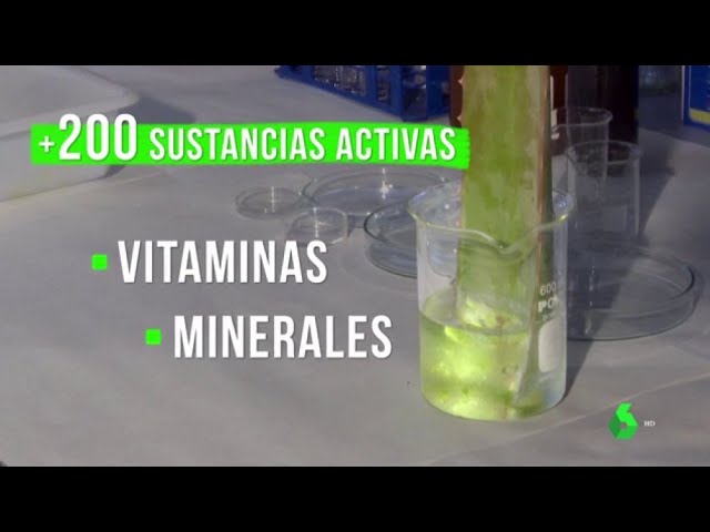 propiedades de la bebida de aloe vera