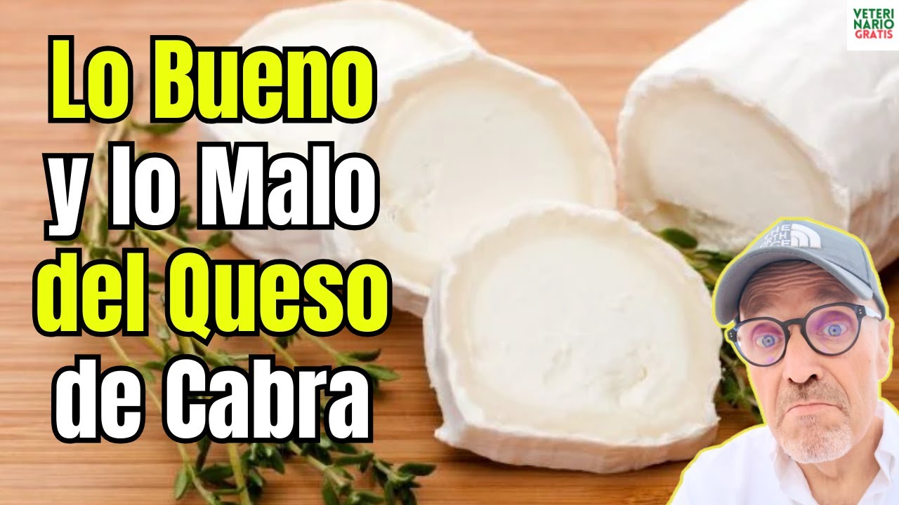 propiedades del queso de cabra fresco