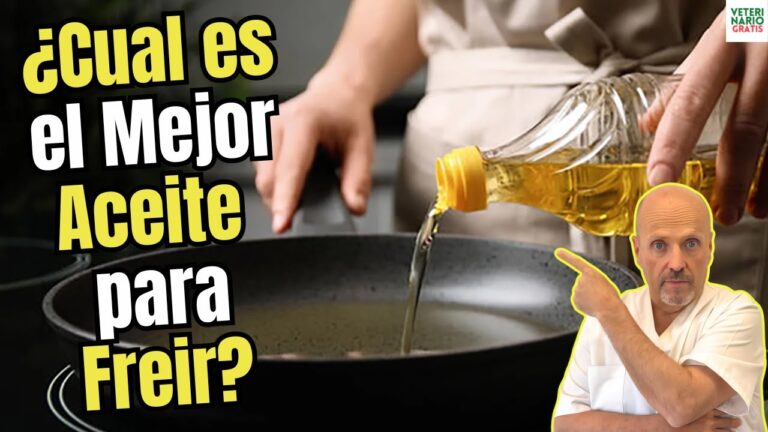 que es el aceite alto oleico