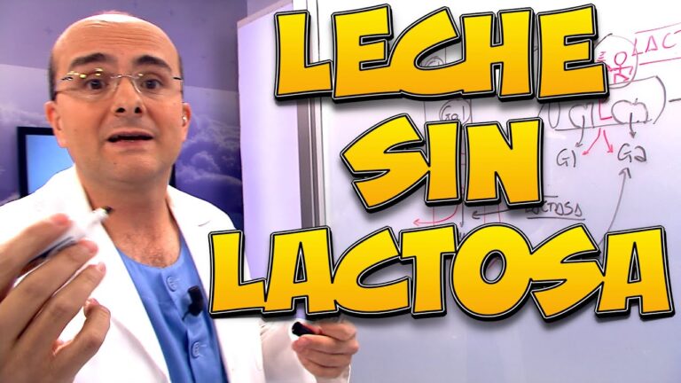que es la lactosa de la leche