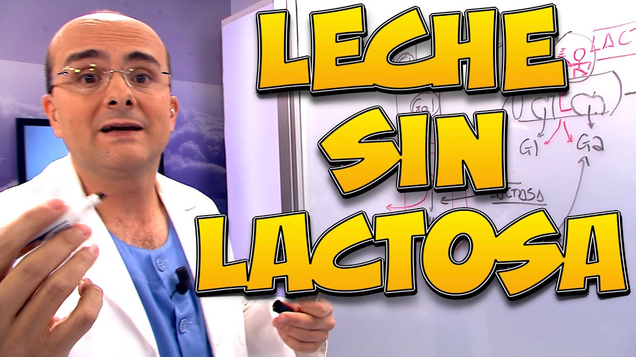 que es la lactosa de la leche